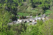 Spettacolo di crocus ai prati della Pigolotta di Valtorta il 26 aprile 2018 - FOTOGALLERY